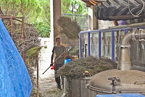 The Distillery Bleu Provence, where the tradition of the distillation of lavender and aromatic plants has continued since 1939.